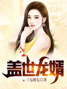 《盖世龙婿》小说封面