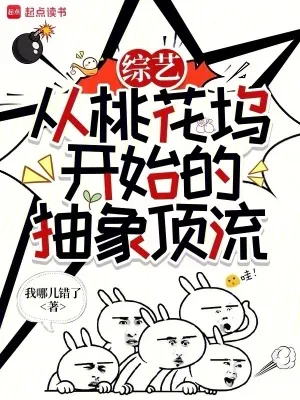 《综艺：从桃花坞开始的抽象顶流》小说封面