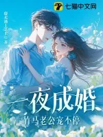 《一夜成婚，竹马老公宠不停！》小说封面