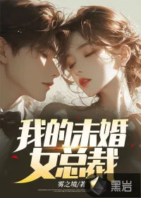 《我的未婚女总裁》小说封面