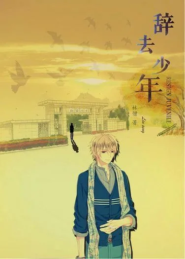 《辞去 少年》小说封面