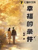 《幸福的条件》小说封面