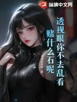 《透视眼你不去乱看,赌什么石呢!》小说封面