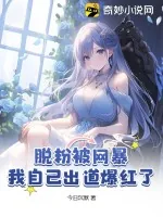 《脱粉被网暴，我自己出道爆红了》小说封面