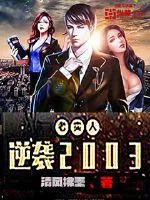 《老实人逆袭2003》小说封面