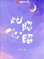 《此心昭昭》小说封面