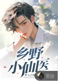 《乡野小仙医》小说封面