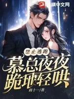 《禁止逃跑,慕总夜夜跪地轻哄》小说封面