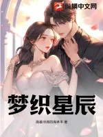 《梦织星辰》小说封面