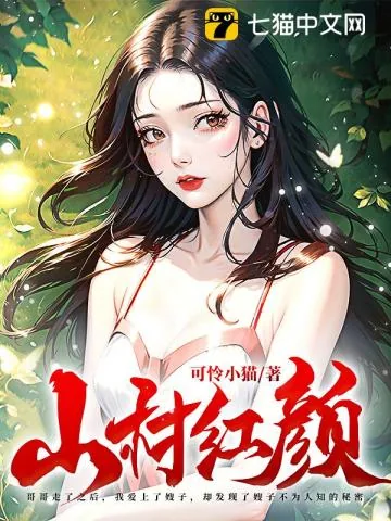 《山村红颜》小说封面