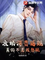 《夜场消费返现,真的不是我想玩》小说封面