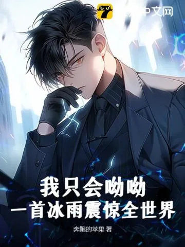 《我只会呦呦？一首冰雨震惊全世界》小说封面