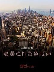 《遭遇过打击的股神》小说封面
