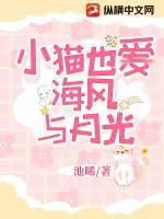 《小猫也爱海风与月光》小说封面