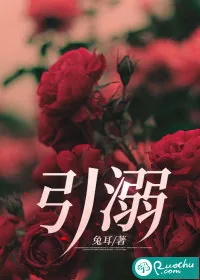 《引溺》小说封面