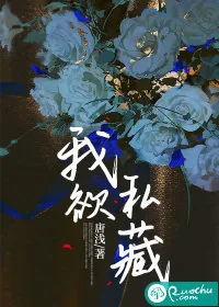 《我欲私藏》小说封面