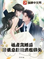 《被虐离婚后，薄情总裁跪求我回头》小说封面