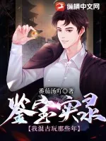 《鉴宝实录：我混古玩那些年》小说封面