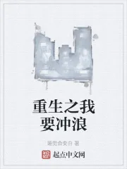 《重生之我要冲浪》小说封面