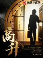《高升》小说封面