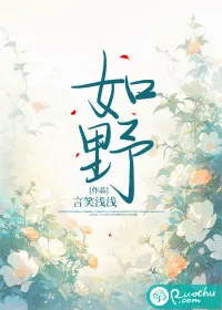 《如野》小说封面