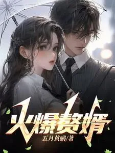 《火爆赘婿》小说封面
