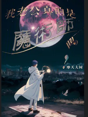 《我老公真的是魔术师吗》小说封面