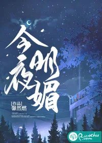 《今夜明媚》小说封面