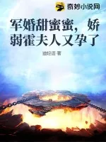 《军婚甜蜜蜜,娇弱霍夫人又孕了》小说封面