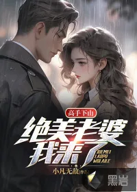 《高手下山:绝美老婆我来了》小说封面
