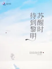 《待到黎明苏醒时》小说封面