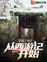 《华娱1981:从西游记开始》小说封面