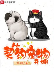 《从契约宠物开始》小说封面