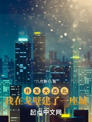 《开发大西北：我在戈壁建了一座城》小说封面