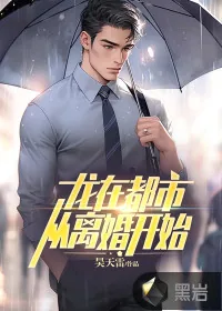 《龙在都市,从离婚开始》小说封面