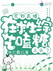 《荒野直播：在求生综艺嗑糖上头了》小说封面