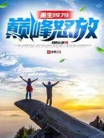 《重生1979：巅峰怒放》小说封面