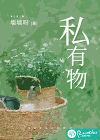 《私有物》小说封面
