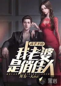 《高手下山:我老婆是俏佳人》小说封面