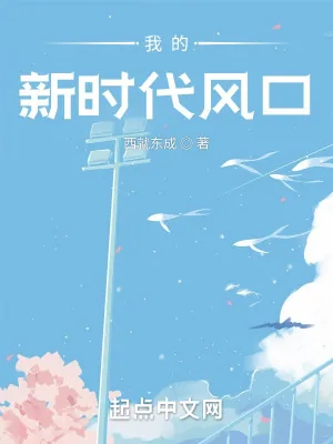 《我的新时代风口》小说封面