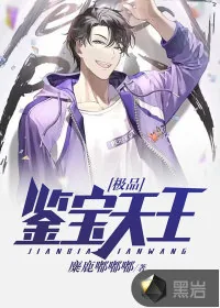《极品鉴宝天王》小说封面