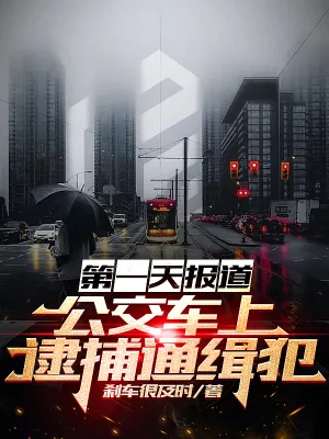 《第一天报道,公交车上逮捕通缉犯》小说封面