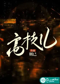 《高枝儿》小说封面