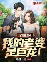 《全职奶爸,我的老婆是巨龙》小说封面