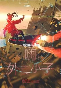 《嗨，外卖小子》小说封面