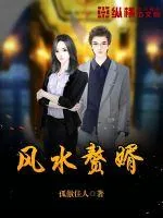 《风水赘婿》小说封面
