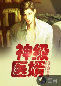 《神级医婿》小说封面