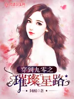 《穿到九零之璀璨星路》小说封面