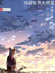 《环游世界大明星》小说封面