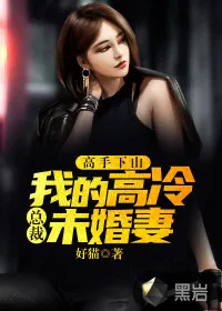 《高手下山:我的高冷总裁未婚妻》小说封面
